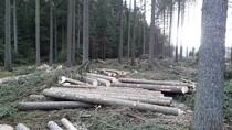 Foto produktu Valtra C100 + lesní vybavení